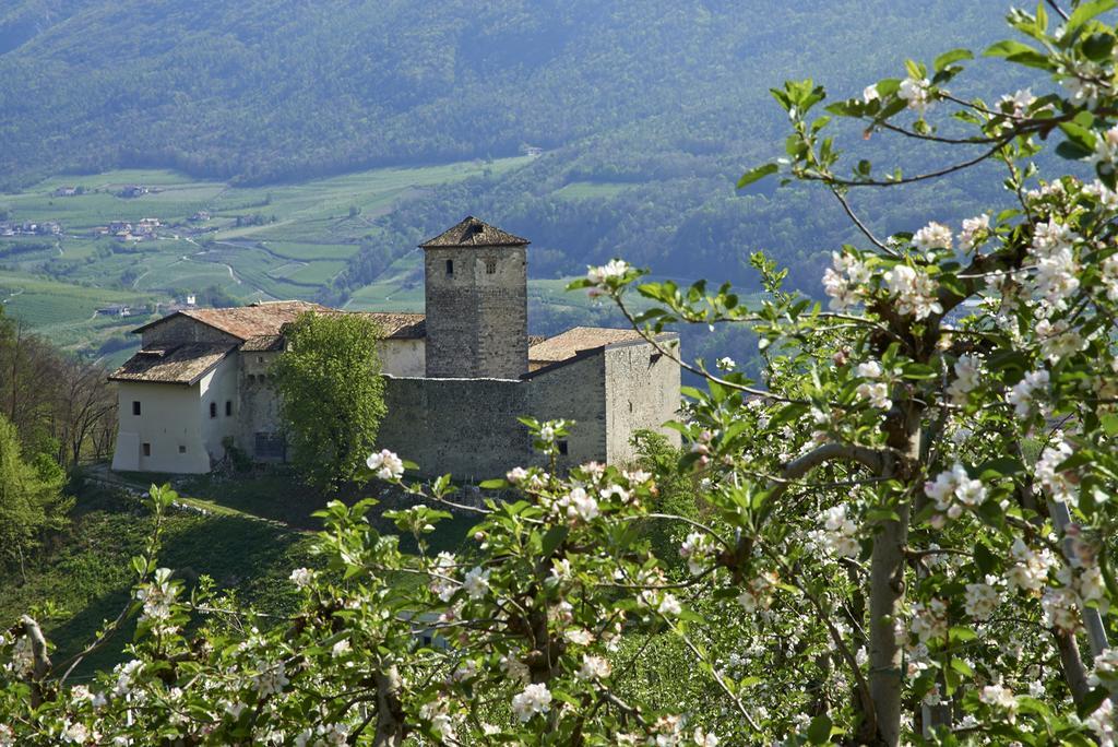 B&B La Casa Del Sole San Michele allʼAdige Buitenkant foto